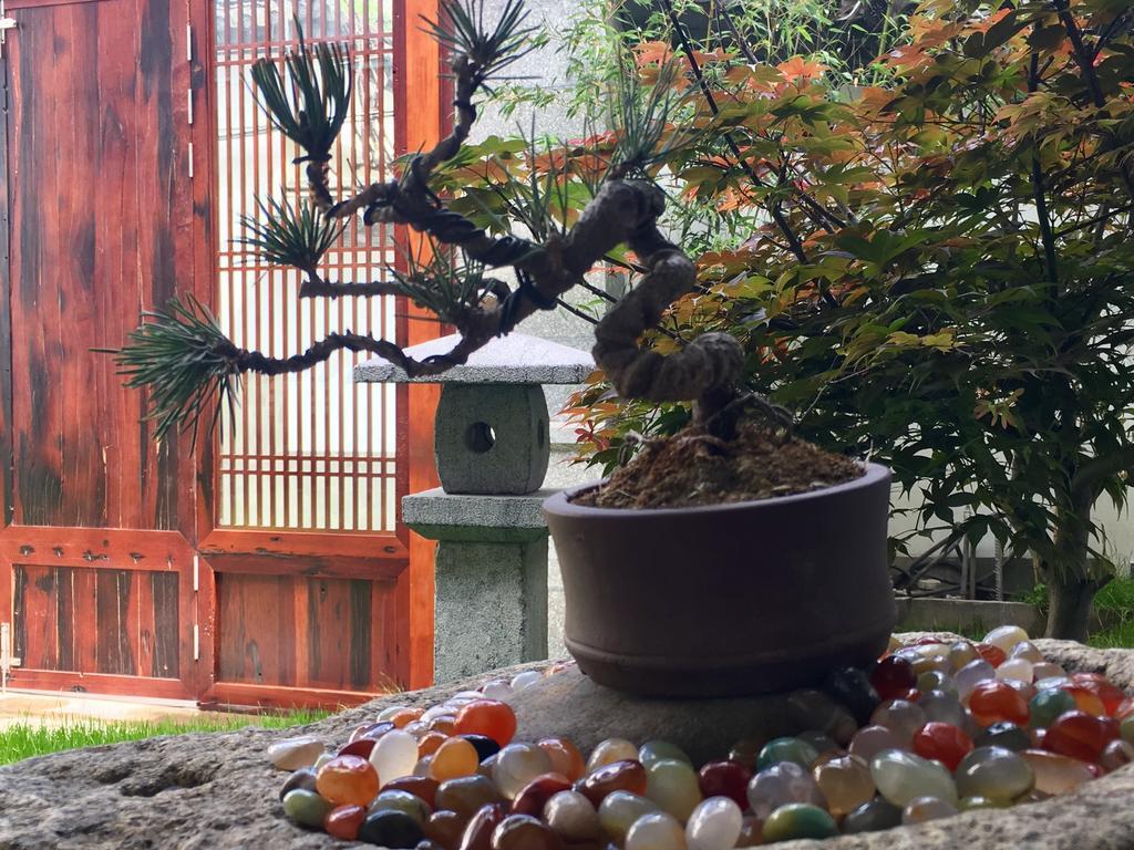Bo Nan Homestay دالي المظهر الخارجي الصورة