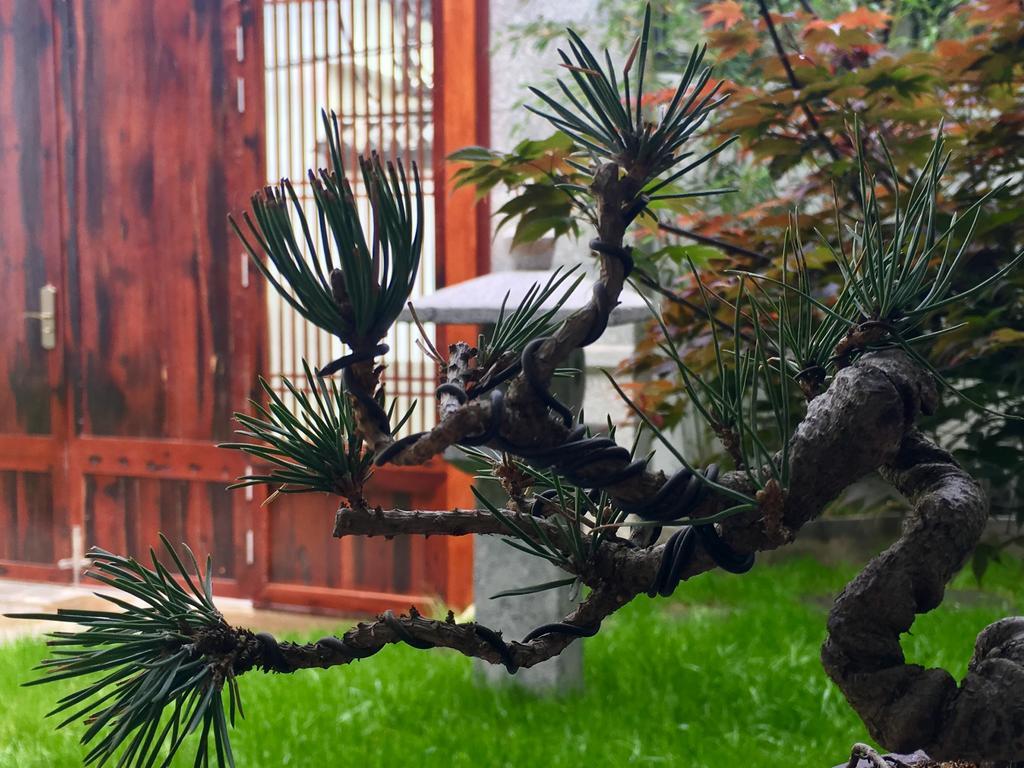 Bo Nan Homestay دالي المظهر الخارجي الصورة
