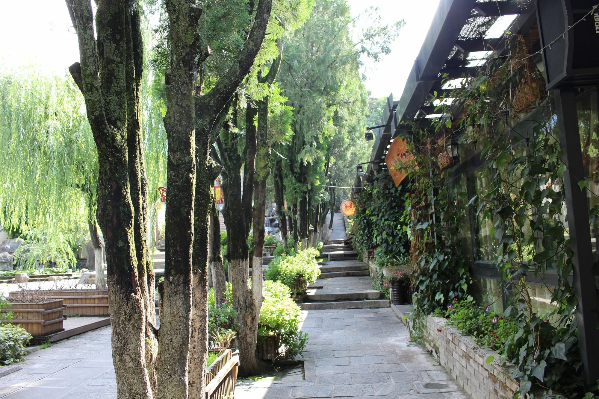 Bo Nan Homestay دالي المظهر الخارجي الصورة